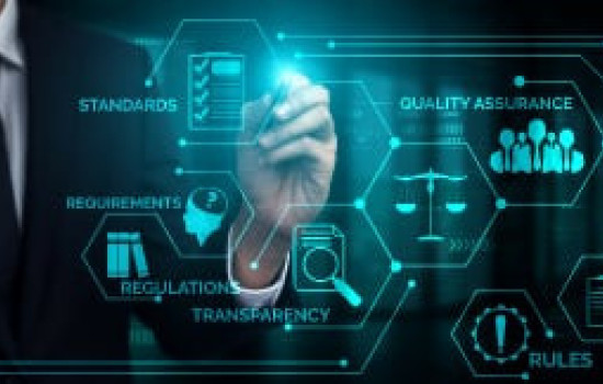 الإدارة بالجودة الشاملة كمدخل للتنافسية والتميز